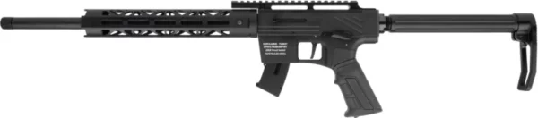 RIA TM22A 22LR 20" 10RD